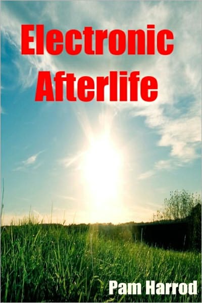 Electronic Afterlife