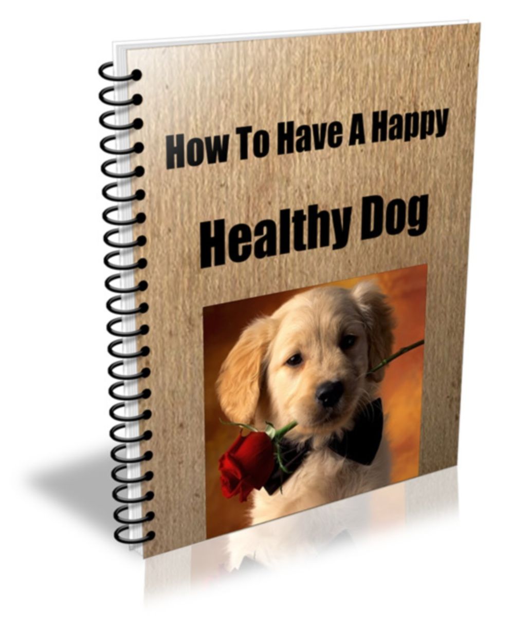 How To Have A Happy Healthy Dog