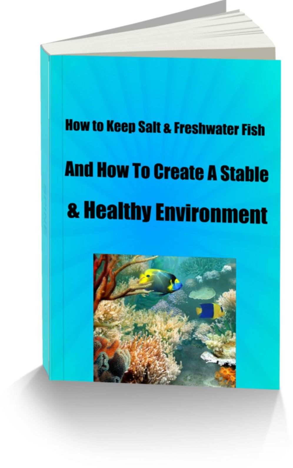 How to Keep Salt & Freshwater Fish And How To Create A Stable & Healthy Environment