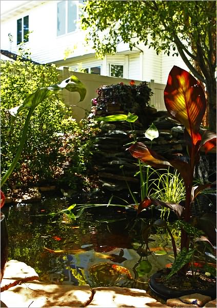 How To Build A Beautiful Backyard Pond: And Have Fun Doing It!