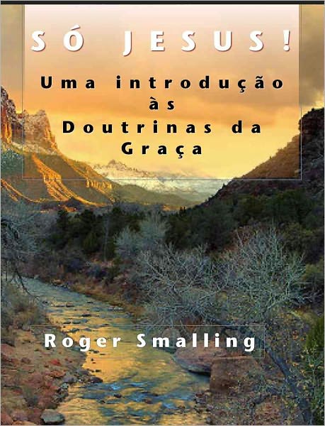 Só Jesus: Uma introdução às Doutrinas da Graça