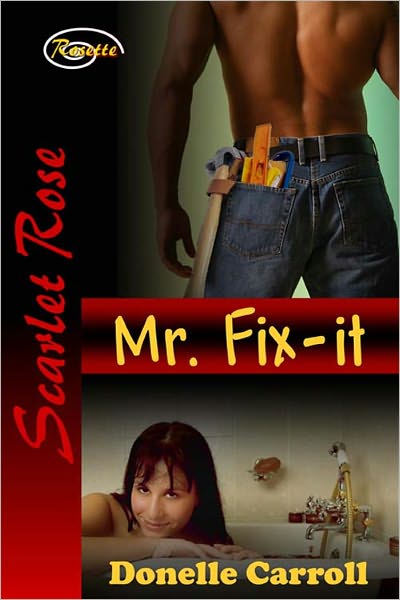 Mr. Fix-it