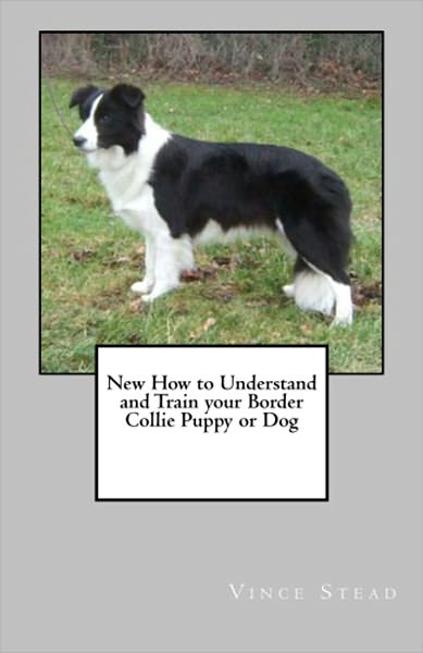 How to Understand and Train your Border Collie Puppy or Dog