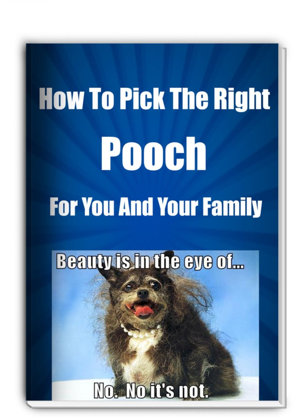How To Pick The Right Pooch For You And Your Family