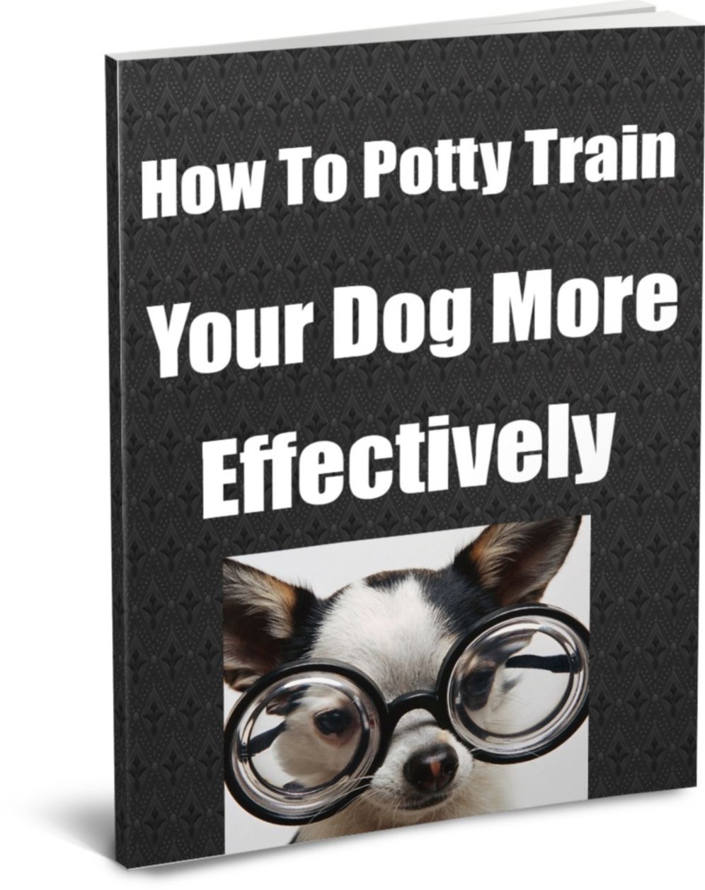 How To Potty Train Your Dog More Effectively