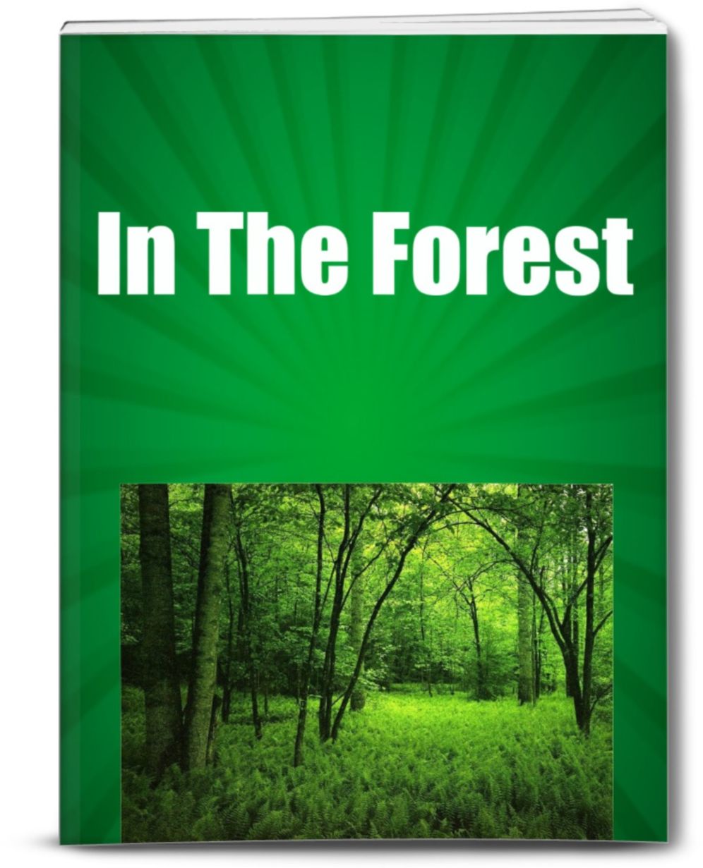 All The Great Things You Will Find In The Forest!