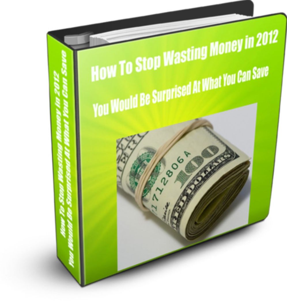 How To Stop Wasting Money in 2016 You Would Be Surprised At What You Can Save
