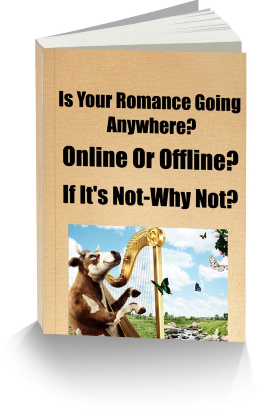 Is Your Romance Going Anywhere?-Online Or Offline?-If It's Not-Why Not?