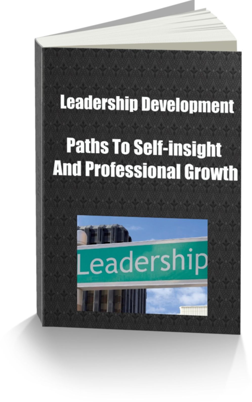 Leadership Development Paths To Self-insight and Professional Growth