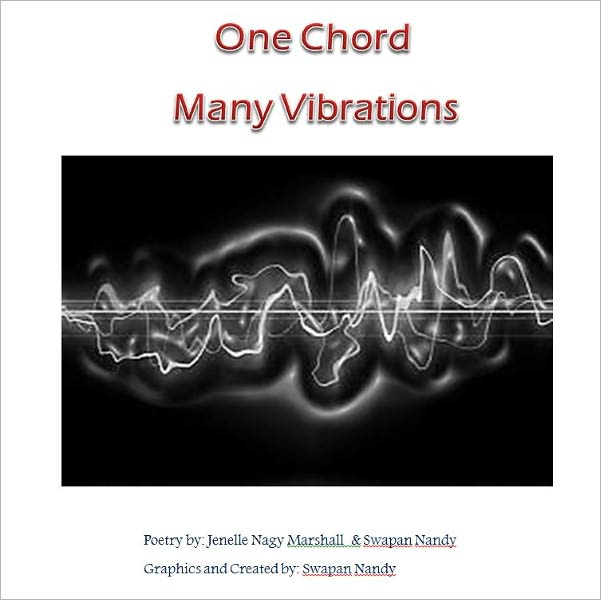 One Chord Many Vibrations