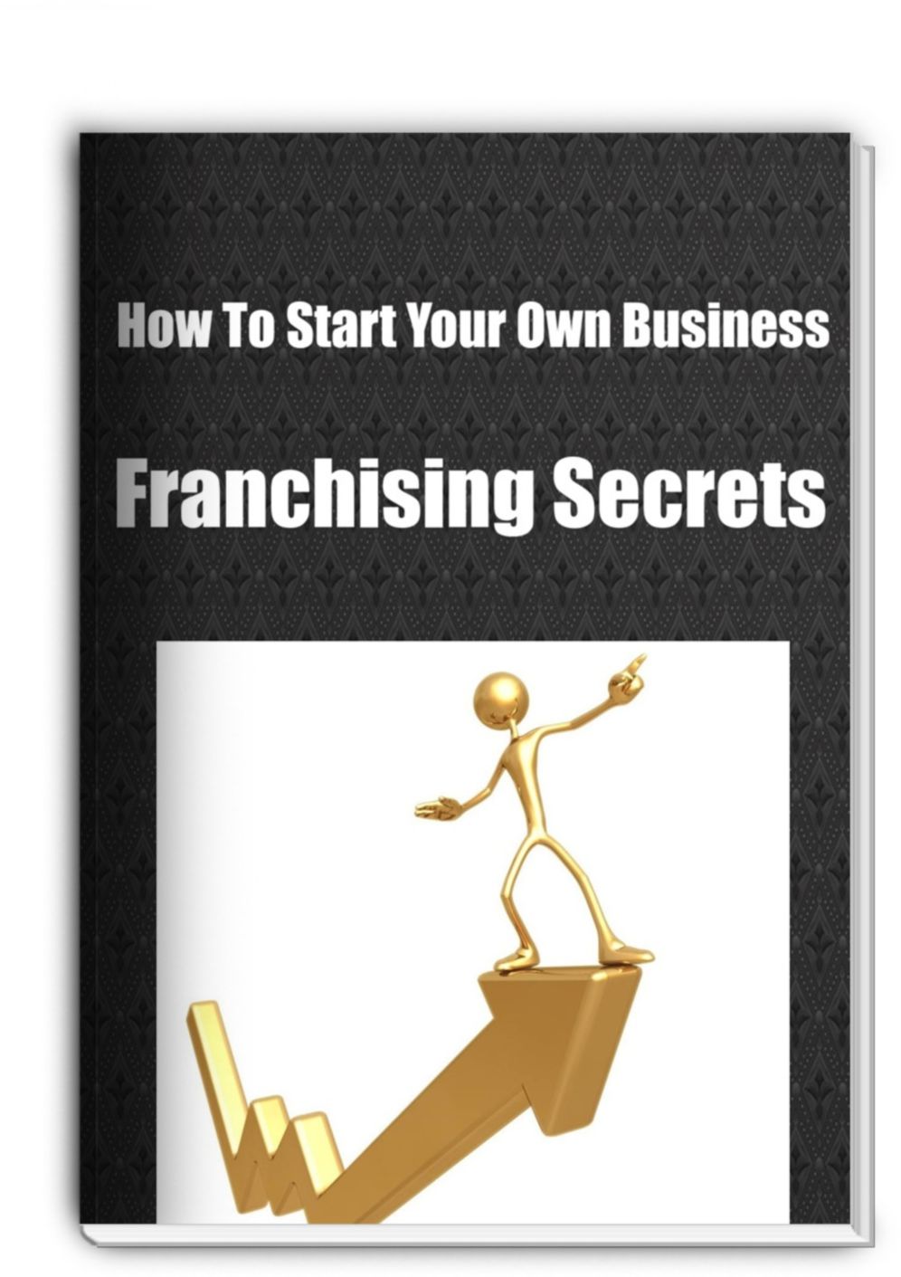 How To Start Your Own Business Using Franchising Secrets..