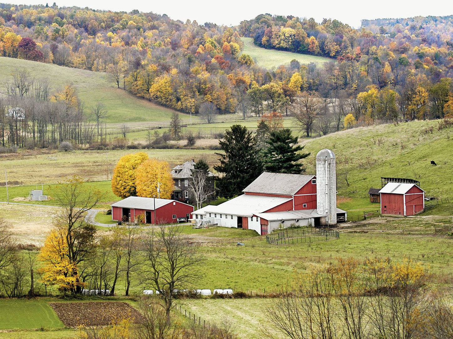 Quick And Easy Amish Recipes