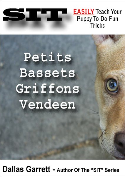 How To Train Your Petits Bassets Griffons Vendeen To Do Fun Tricks