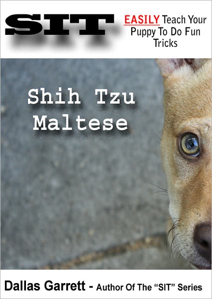 How To Train Your Shih Tzu Maltese To Do Fun Tricks