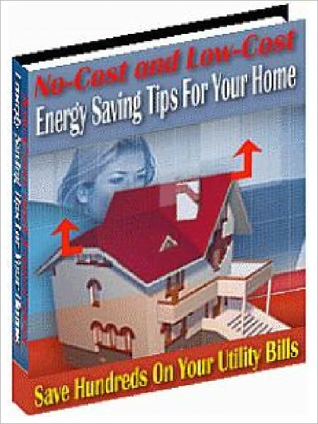 No-Cost and Low - Cost Energy Saving Tips For Your Home