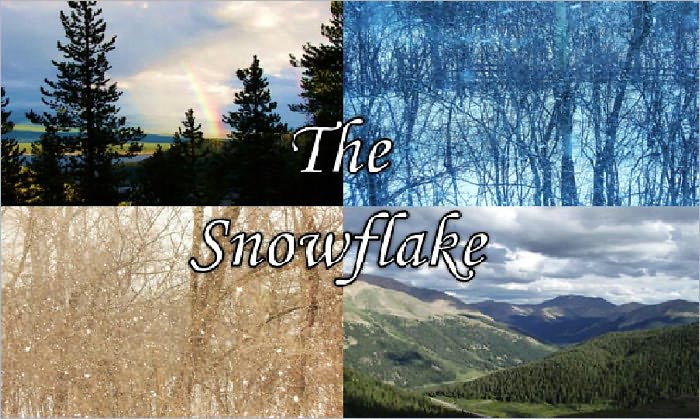 The Snowflake