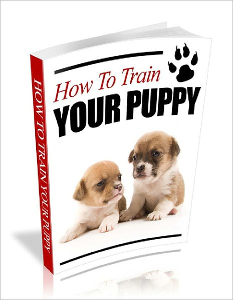 How to Train Your Puppy