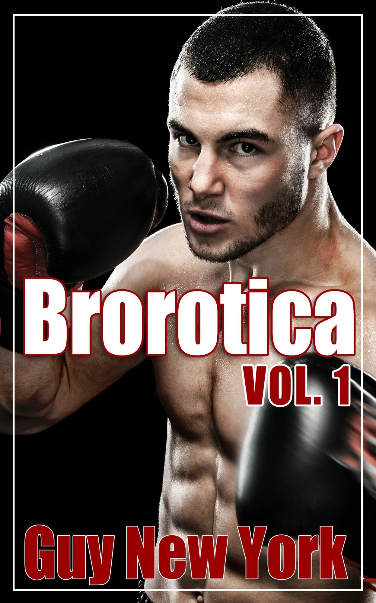 Brorotica: Five Stories of Straight Men and Gay Sex
