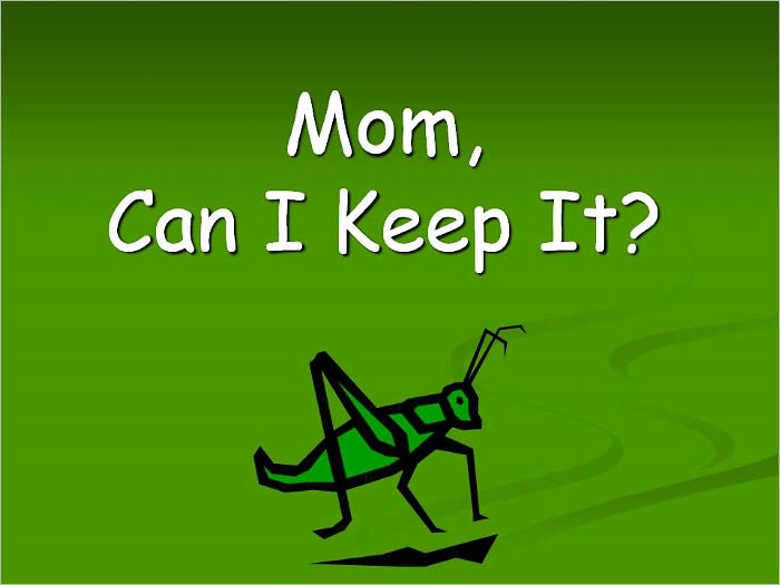 Mom, Can I Keep It?