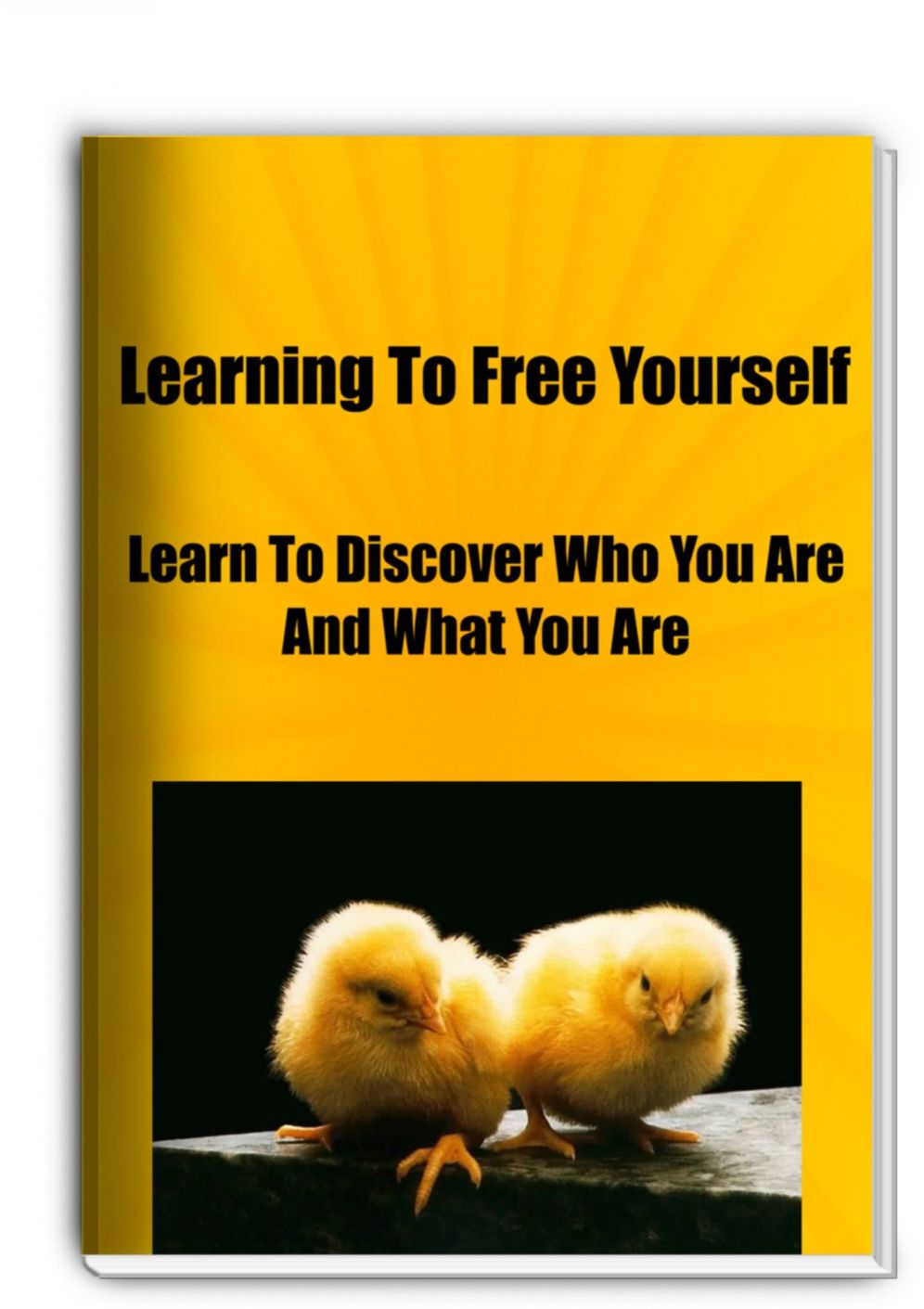 Learning To Free Yourself-The Action Plan For Leaders (and Followers):