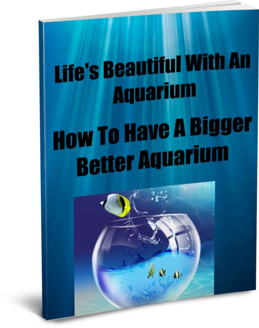 Life's Beautiful with an Aquarium-How To Have A Bigger, Better Aquarium