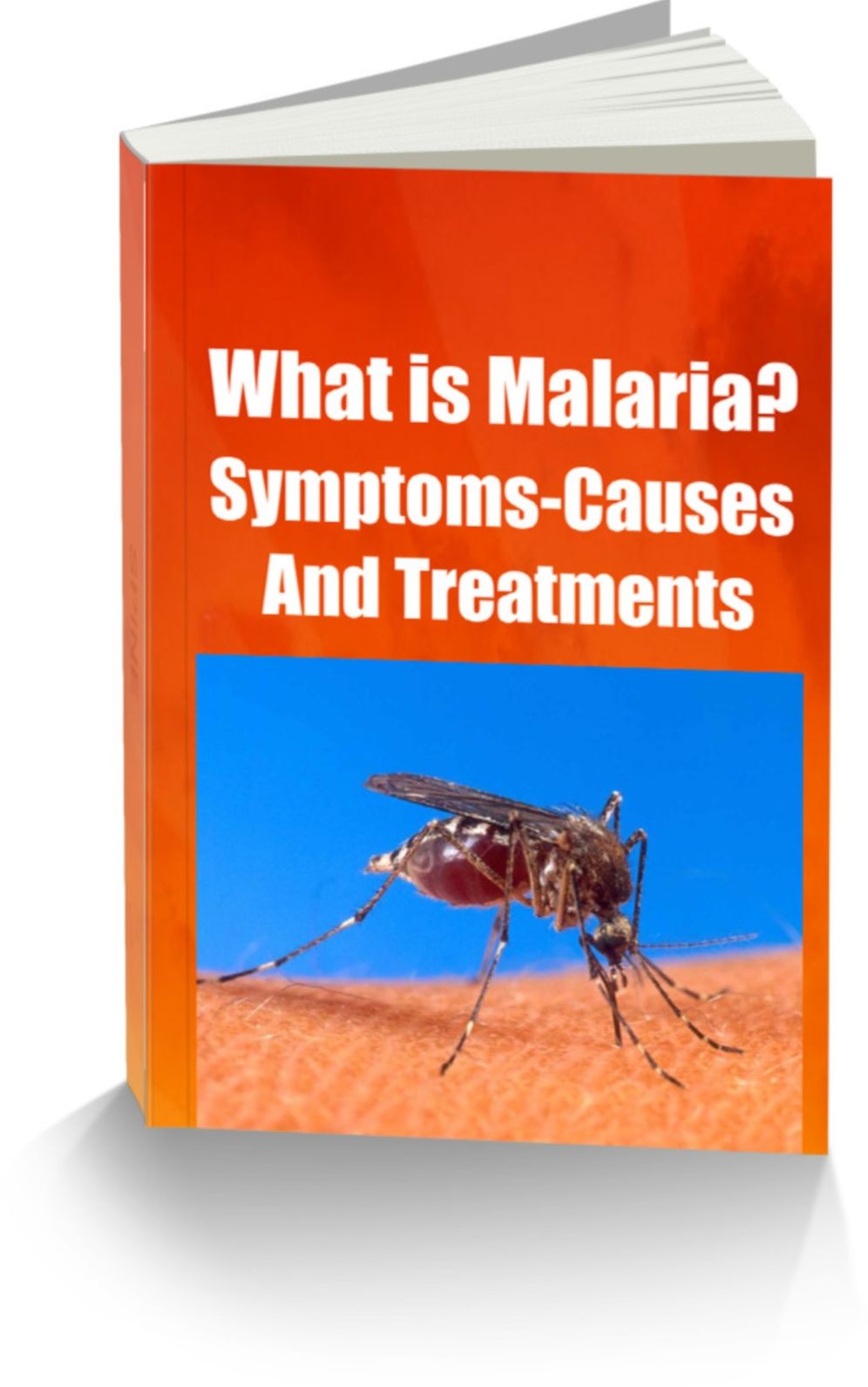 What is Malaria? Learn To Protect Yourself