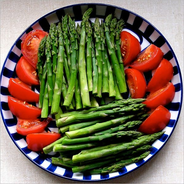 Vegetable Diet As Sanctioned by Medical Men and by Experience in All Ages [Illustrated]