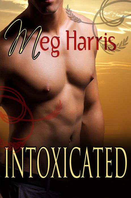 Intoxicated (An erotic/erotica romance)