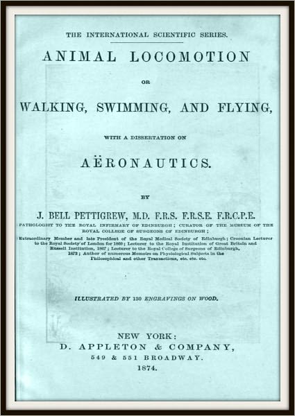 Animal Locomotion