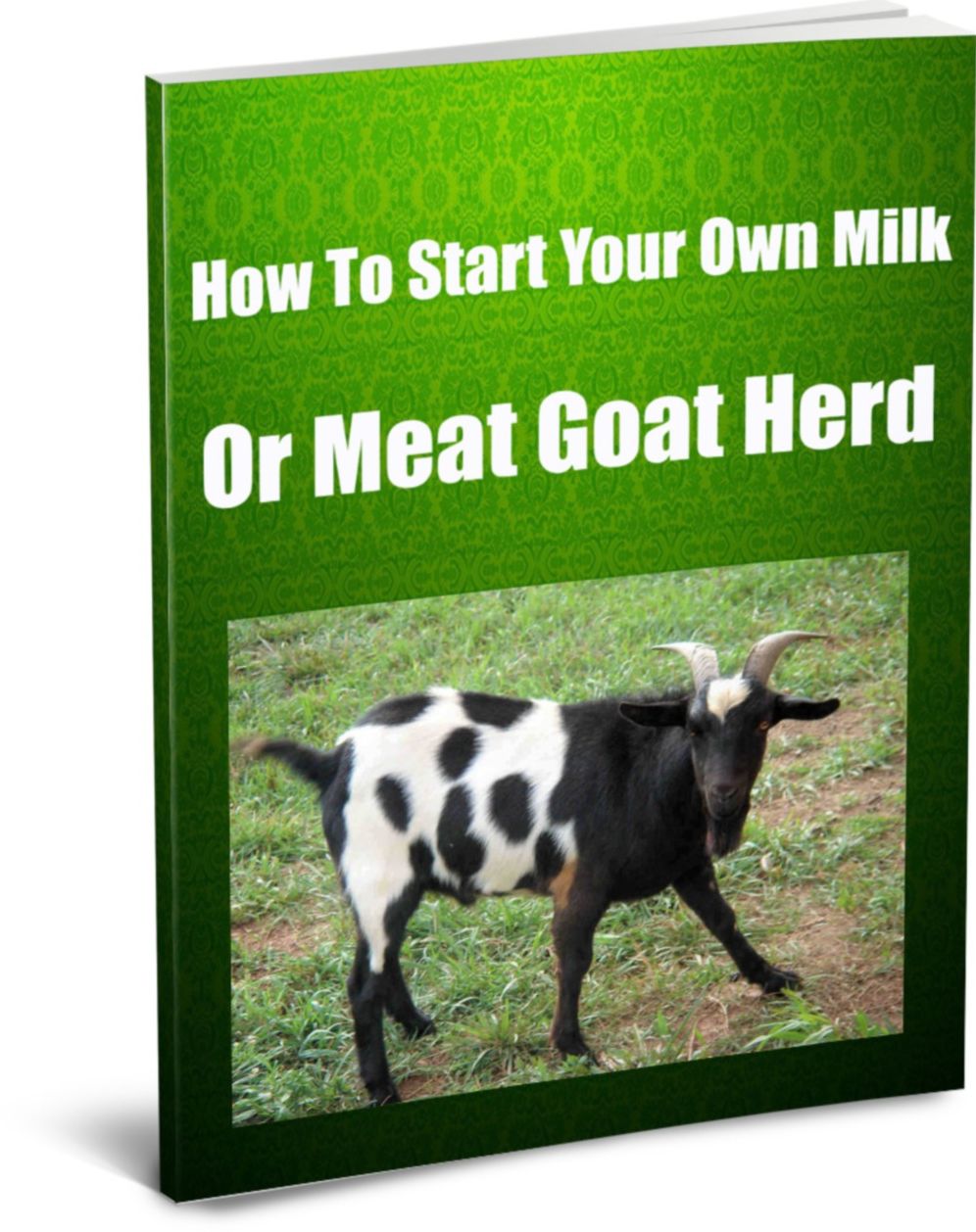 How To Start Your Own Milk or Meat Goat Herd..