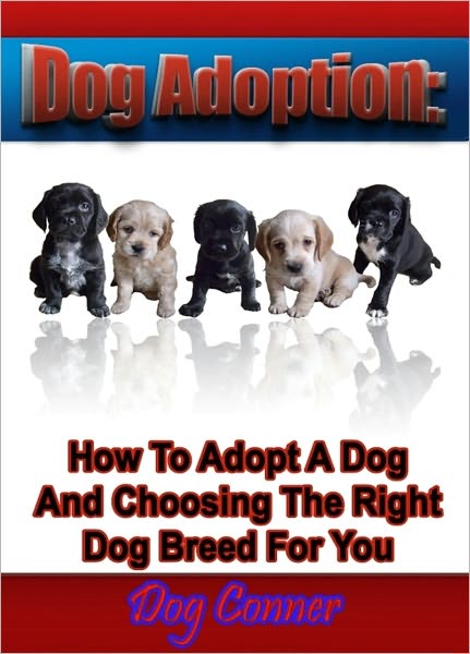 Dog Adoption: How To Adopt A Dog And Choosing The Right Dog Breed For You