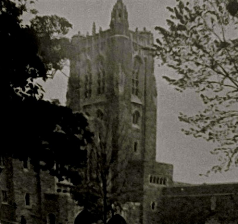 THE PRINCETON EXPERIENCE VOLUME FOUR
