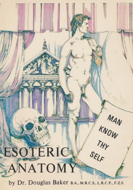 Esoteric Anatomy Part One