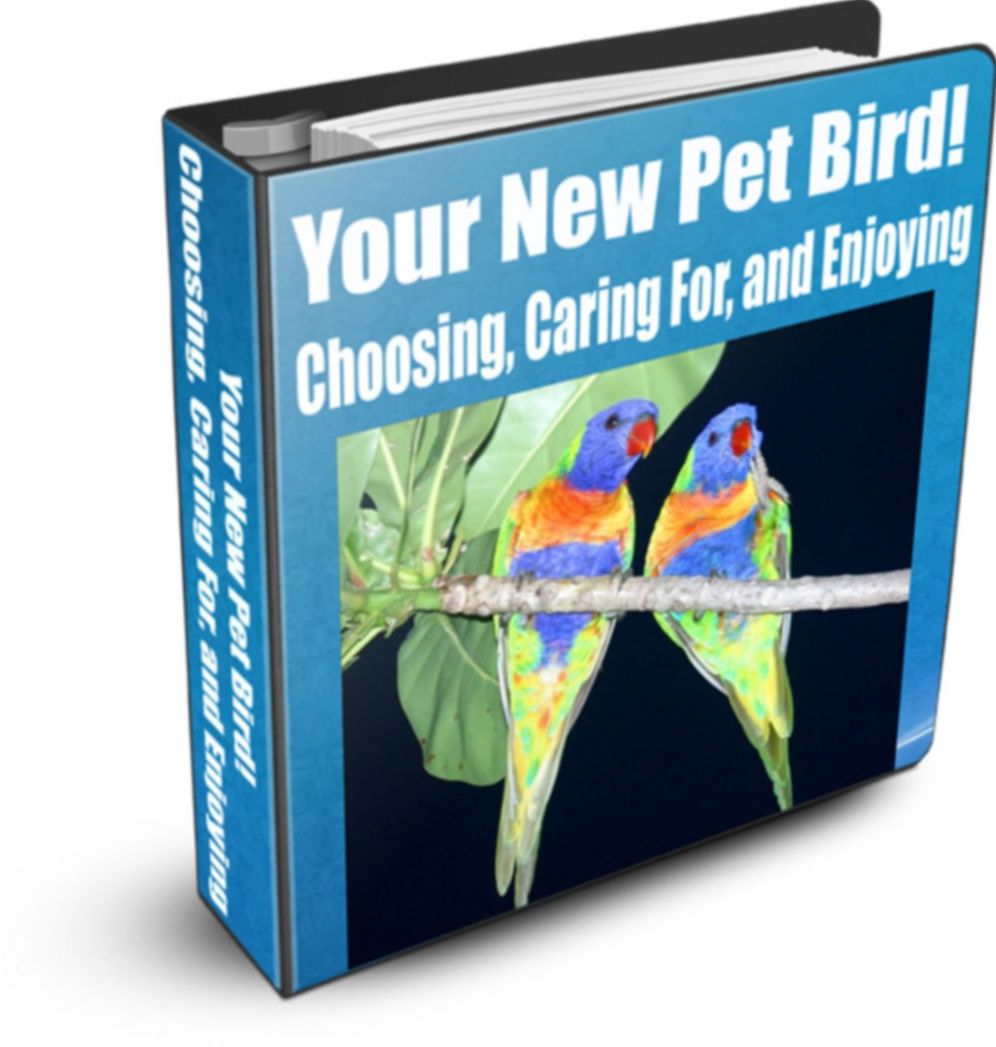 Choosing, Caring For, and Enjoying Your New Pet Bird!