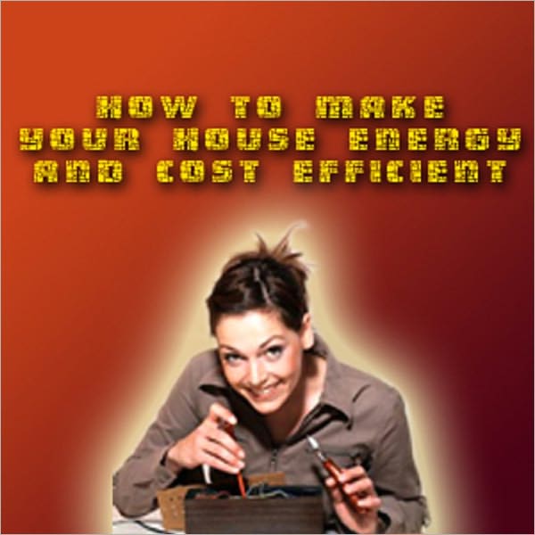 How To Make Your Home Energy And Cost Efficient