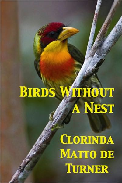 Birds Without a Nest