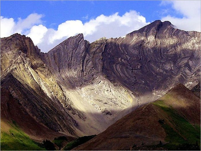 Wild Life on the Rockies [Illustrated]