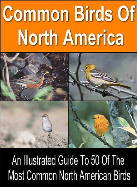 Birding For Everyone: All The Information You Need To Start A Fascinating New Hobby – Series #1: Common Birds of North America: An Illustrated Guide to 50 Of the Most Common North American Birds