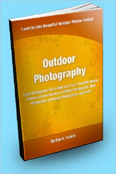 Outdoor Photography; Expert Photography Tips to Help You Create Beautiful Nature Pictures With Information on Wildlife Photography, Bird Photography, Landscape Photography, and More!