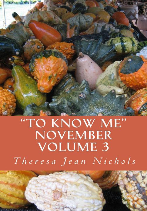 "To Know Me" Nov Vol 3
