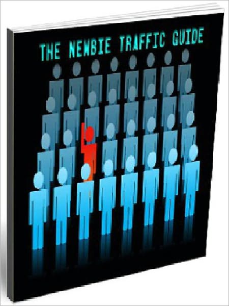 The Newbie Traffic Guide