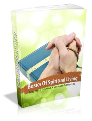 Feed Your Soul - Basics Of Spiritual Living - Baby Steps To Living A Spiritually Fulfilled Life