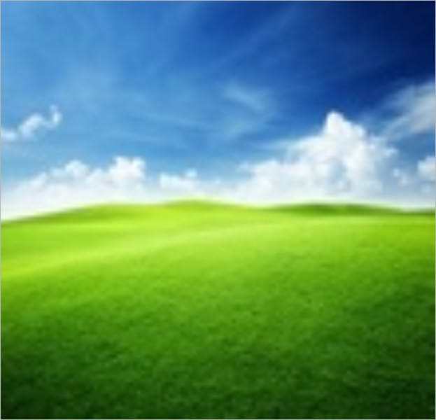 Leaves of Grass