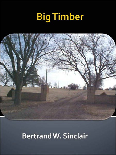 Big Timber w/ Direct link technology (A Western Adventure Story)