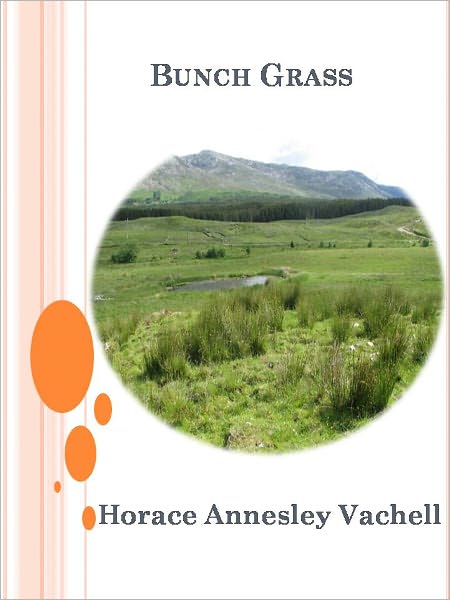 Bunch Grass w/ Direct link technology (A Classic Western Story)