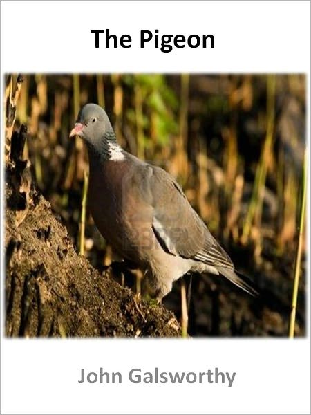 The Pigeon w/ Direct link technology (A Poetry Drama)