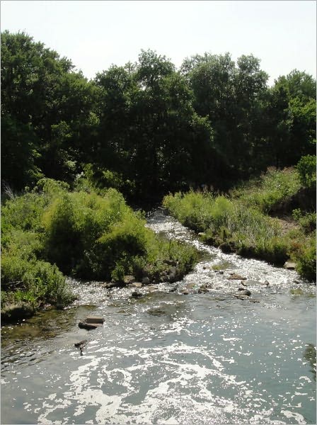Contemplations by the Creek