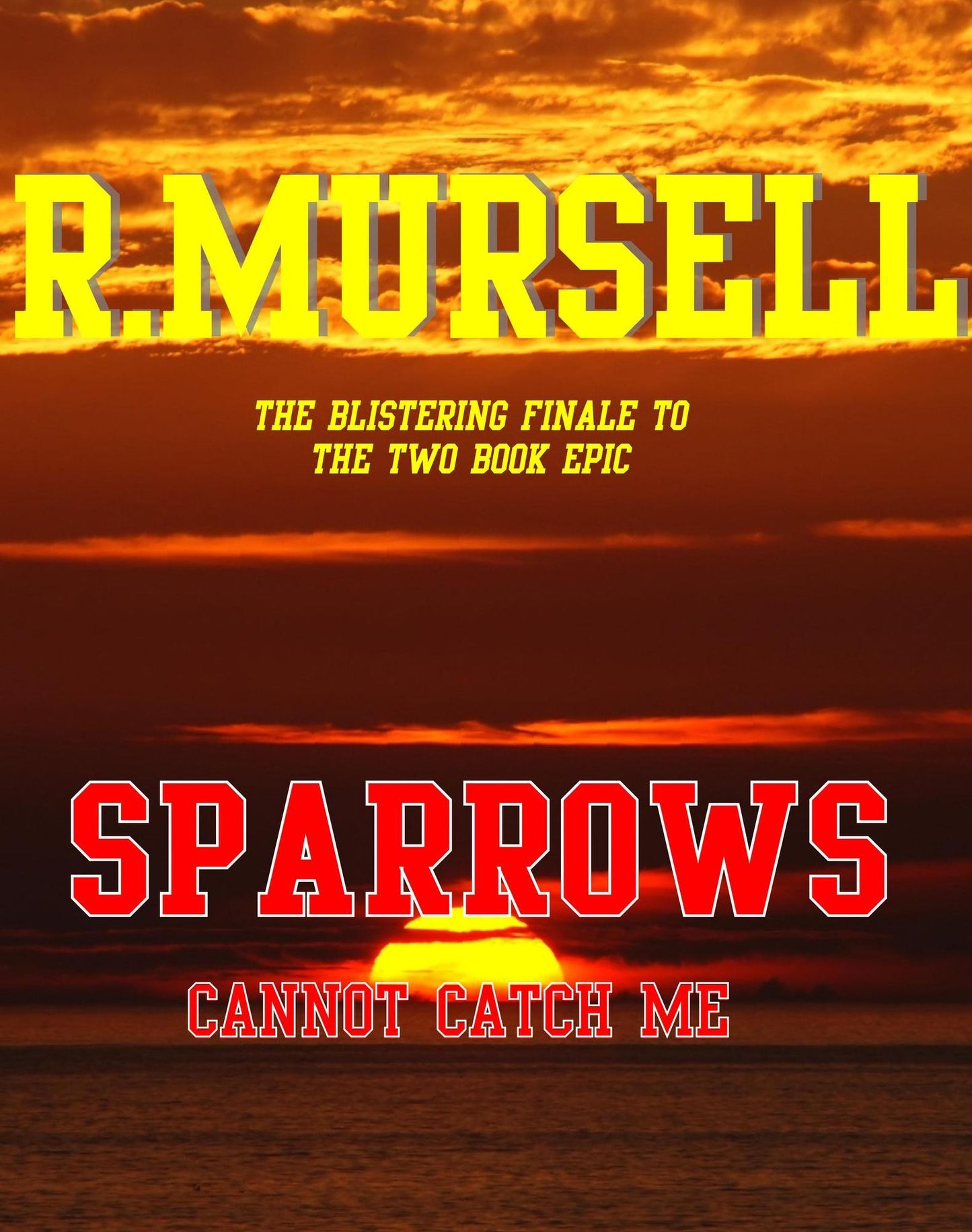 Sparrows - cannot catch me