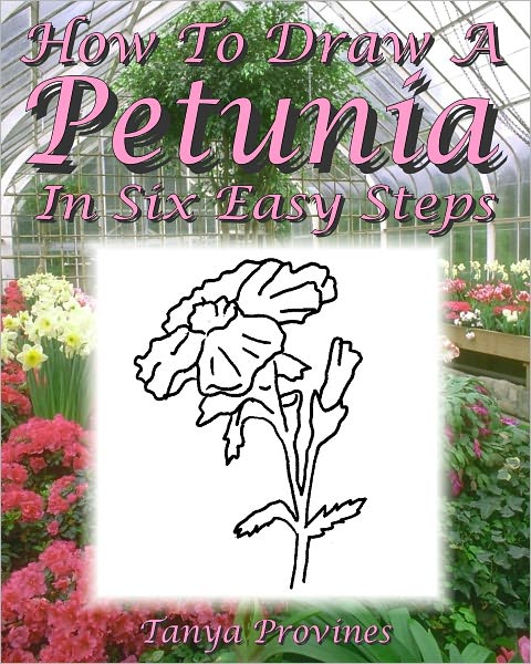 How To Draw A Petunia In Six Easy Steps