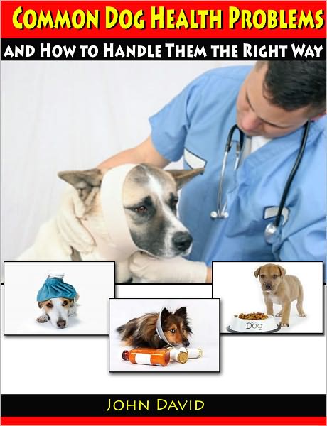 Common Dog Health Problems and How to Handle Them the Right Way